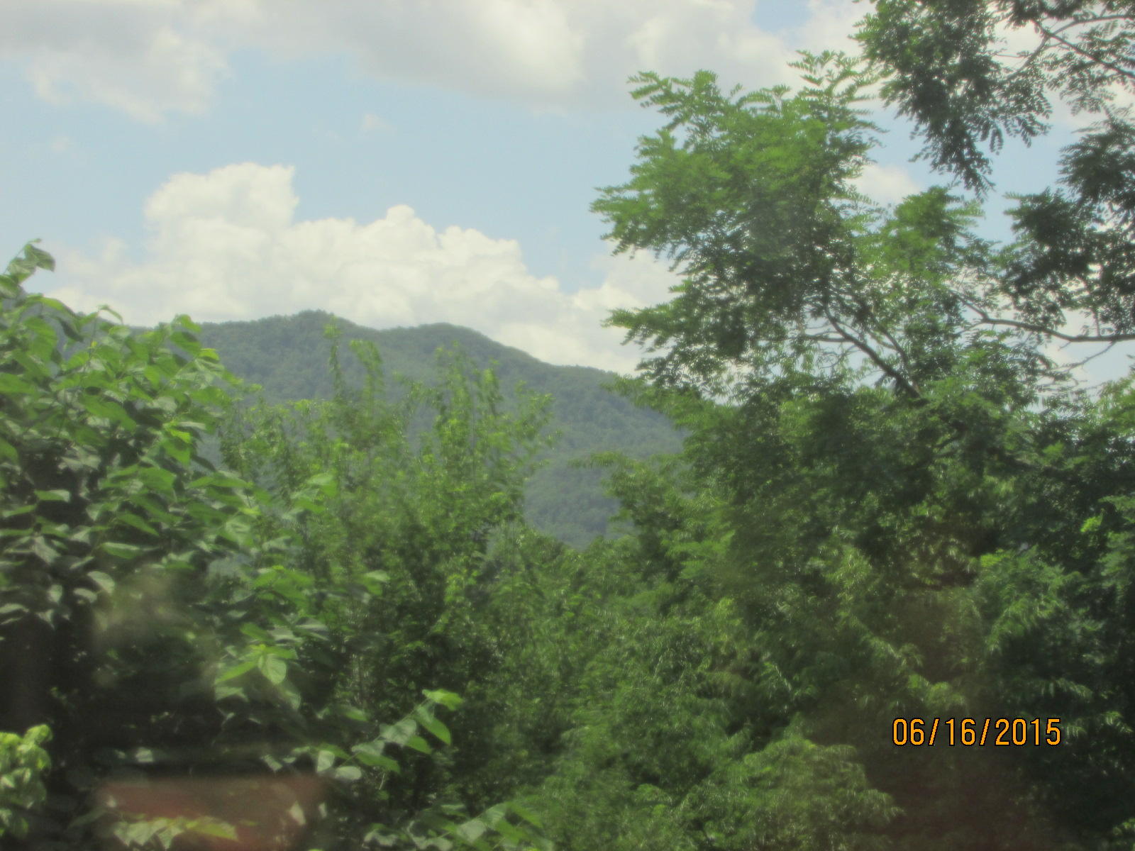 1694 Munsey Hatcher Road Seymour, TN 37865 - Photo 6 of 31 109