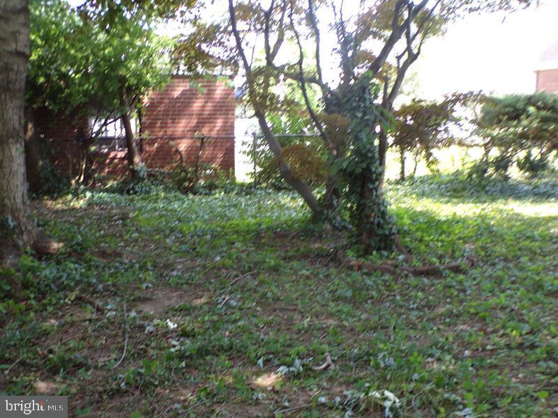 682 Rennard Street Philadelphia, PA 19116 - Photo 5 of 15