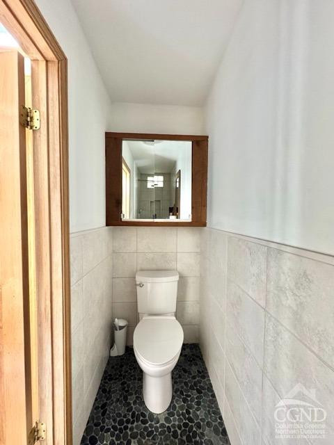 75 Bridge Street Catskill, NY 12414 - Photo 13 of 17 a bathroom with a toilet and a sink