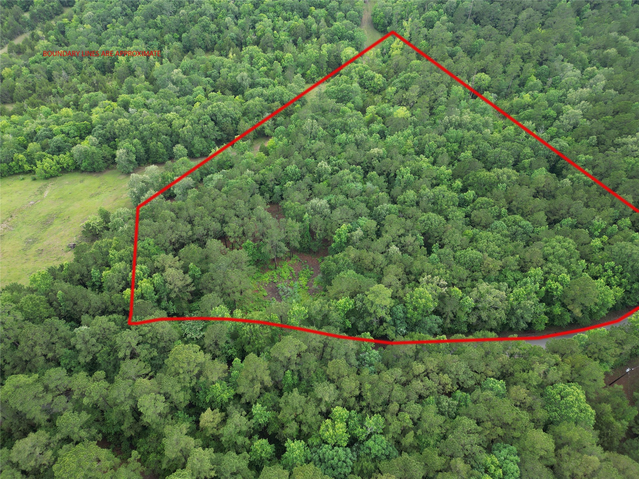 268 Cedar Valley Road Coldspring, TX 77331 - Photo 4 of 29