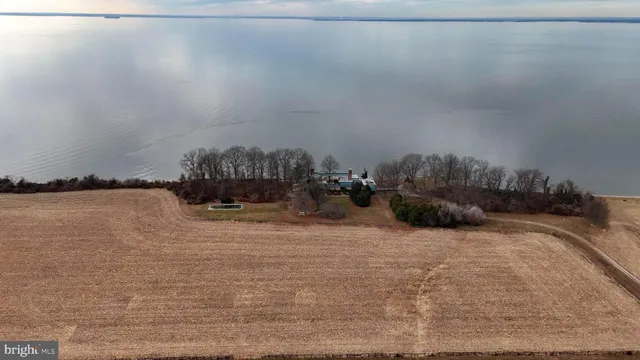 a view of a dry yard with wooden fence