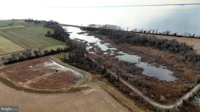a view of a dry yard with trees