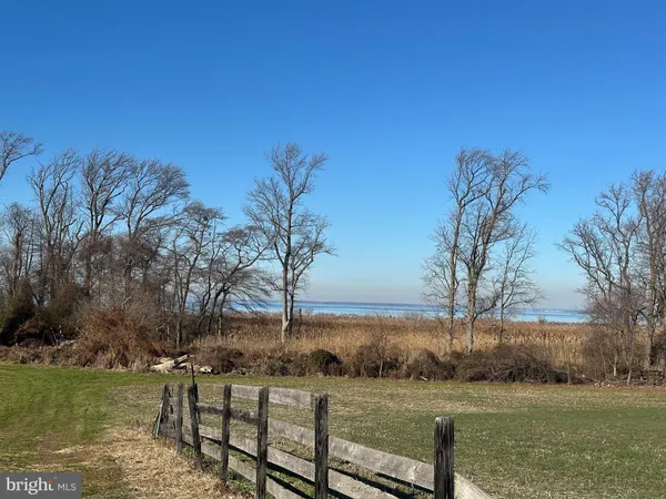 a view of a field with trees in background