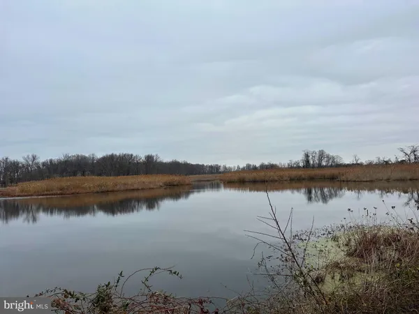 $3,500,000 | 6520 Swan Creek Road, Rock Hall, MD 21661