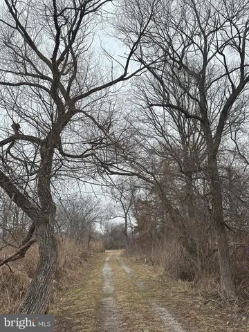 $3,500,000 | 6520 Swan Creek Road, Rock Hall, MD 21661