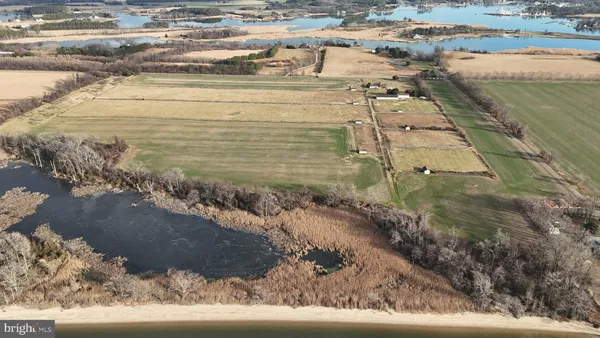 a view of a lake from a yard