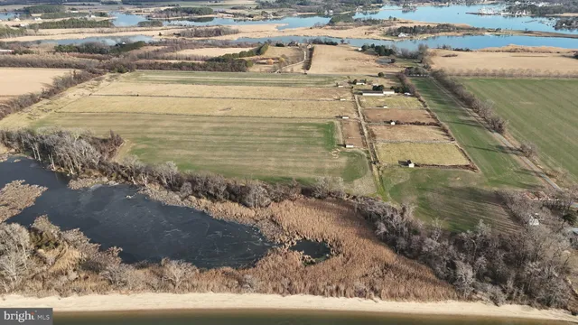 a view of a lake from a yard