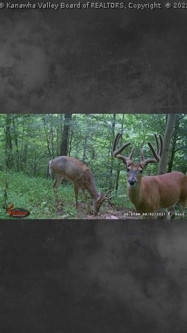 4 Hidden Farms Road Poca, WV 25159 - Photo 19 of 40 Gallery Image 19