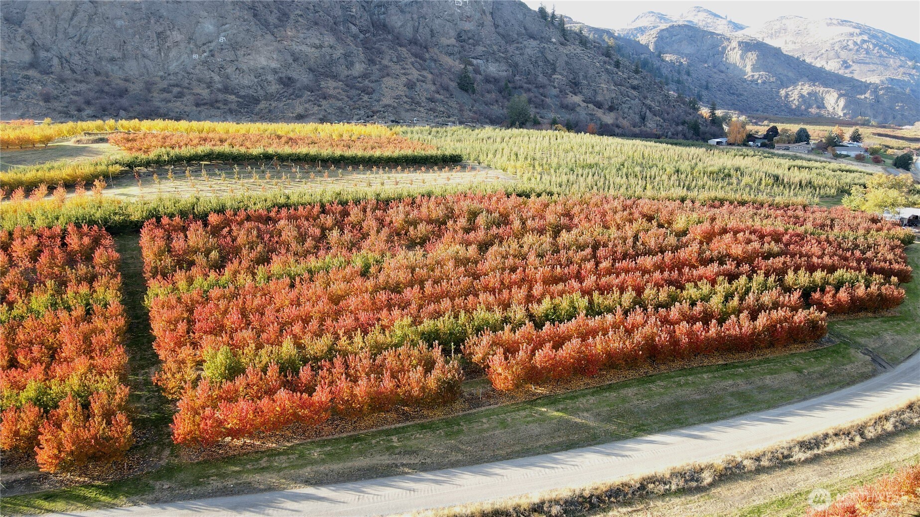 1 Tom Dull Road Oroville, WA 98844 - Photo 30 of 30 a view of swimming pool and mountain