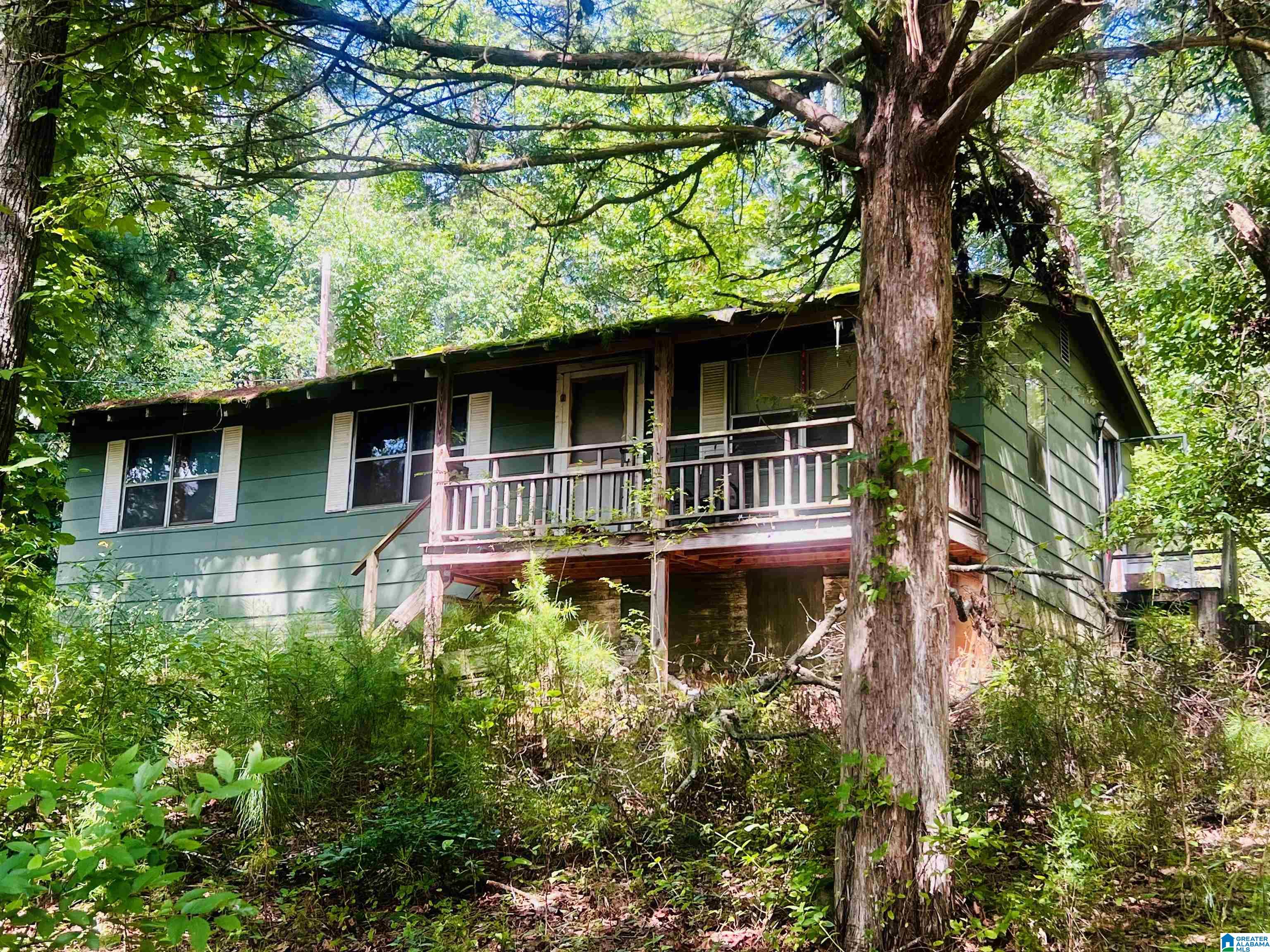 35 Julia Lane Oneonta, AL 35121 - Photo 1 of 3
