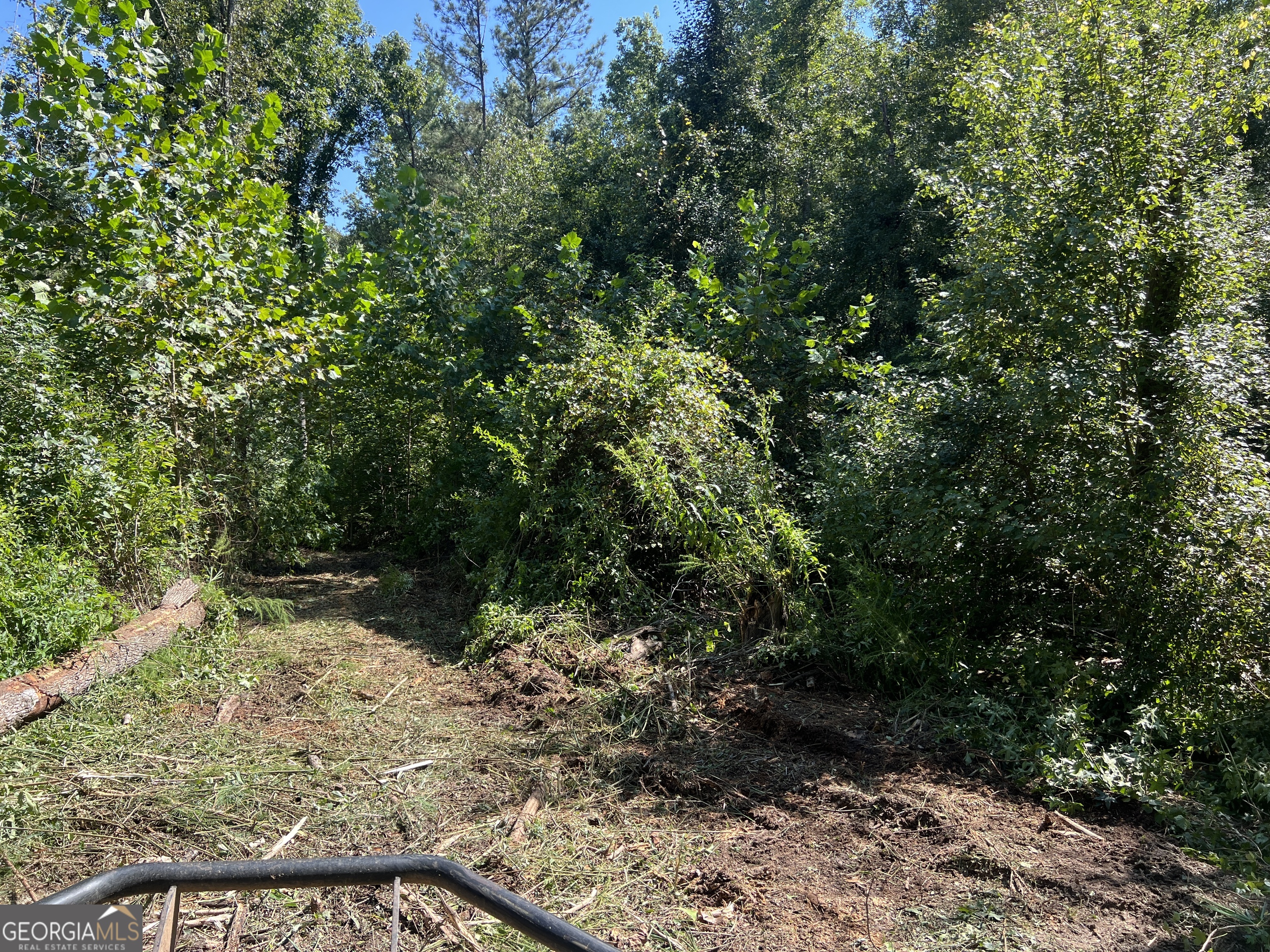 39.87-acres Irby Road Gibson, GA 30810 - Photo 54 of 56 Gallery Image 54