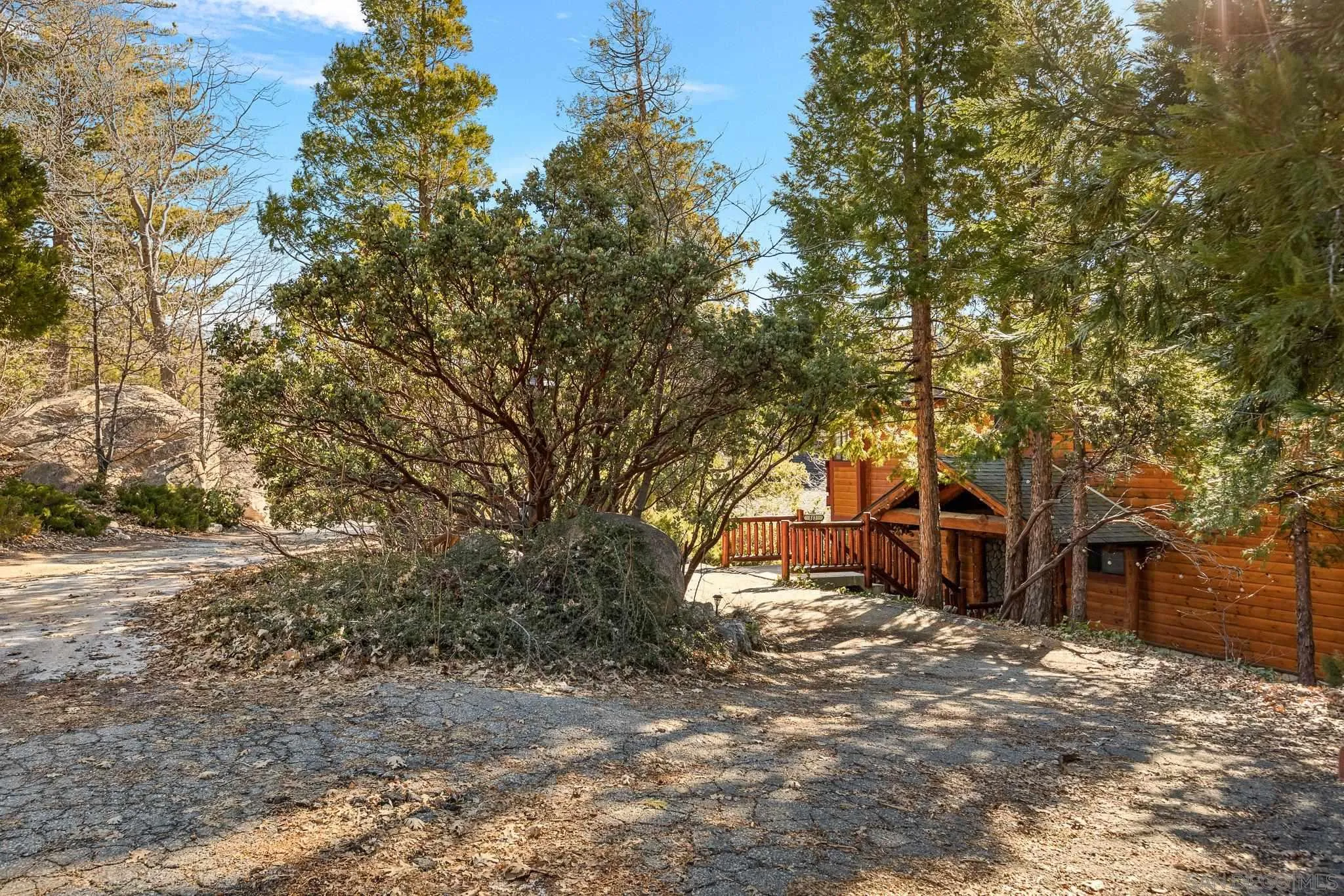 683 Grass Valley Road Lake Arrowhead, CA 92352 - Photo 8 of 39 a view of a yard with a tree