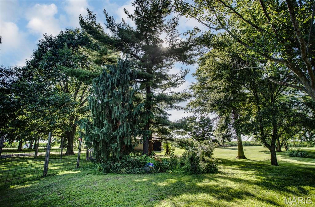 6063 Seiler Road Dorsey, IL 62021 - Photo 21 of 80