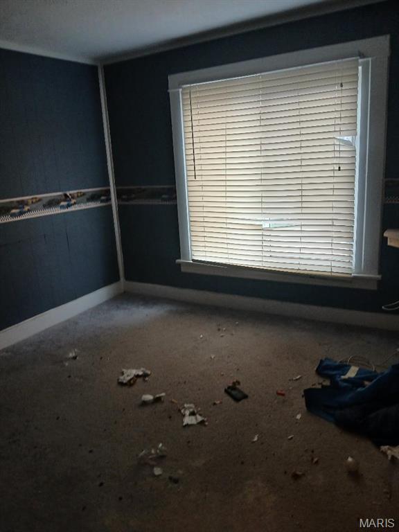 398 Dorsey Road Gillespie, IL 62033 - Photo 11 of 21