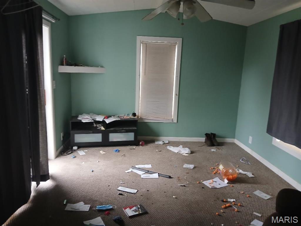 398 Dorsey Road Gillespie, IL 62033 - Photo 13 of 21