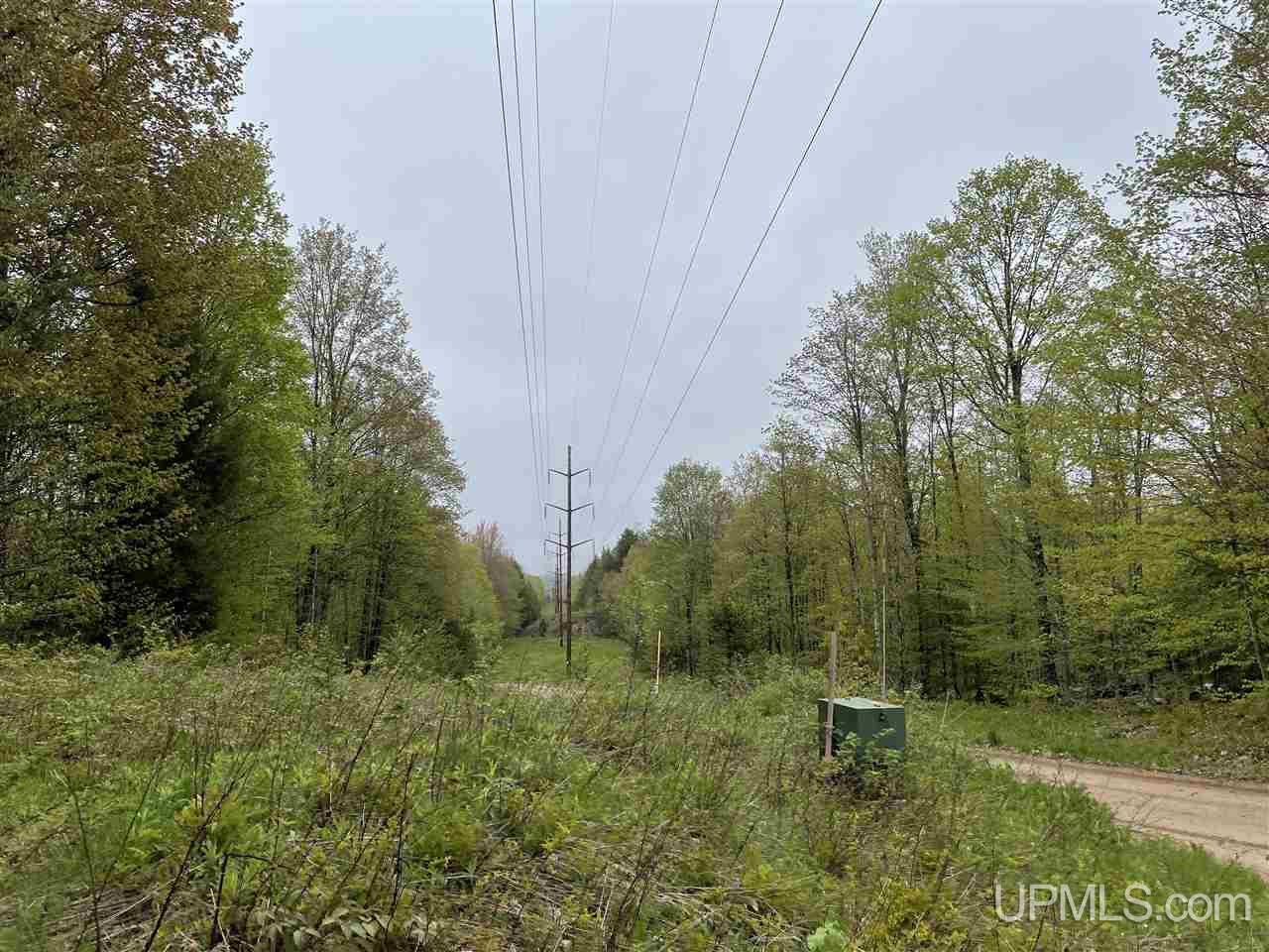 0 County Road 577 Road, Unit ANNA RIVER RDP Munising, MI 49862 - Photo 20 of 26