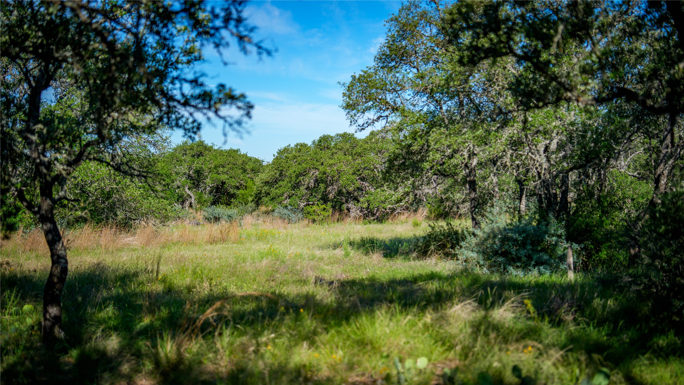 3276 Link Road Doss, TX 78618 - Photo 23 of 35 a view of a lush green space
