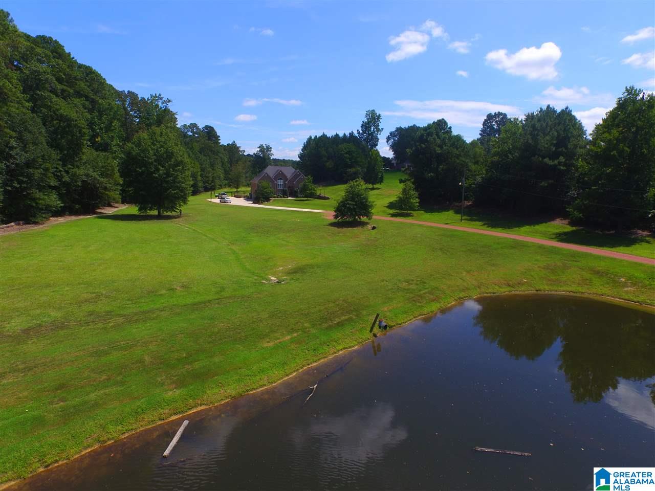 824 Glenwood Road Morris, AL 35116 - Photo 2 of 37