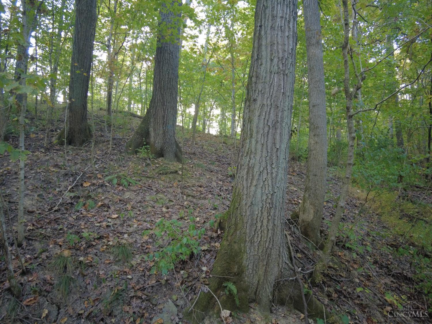 22-ac Richey Road Felicity, OH 45120 - Photo 28 of 30