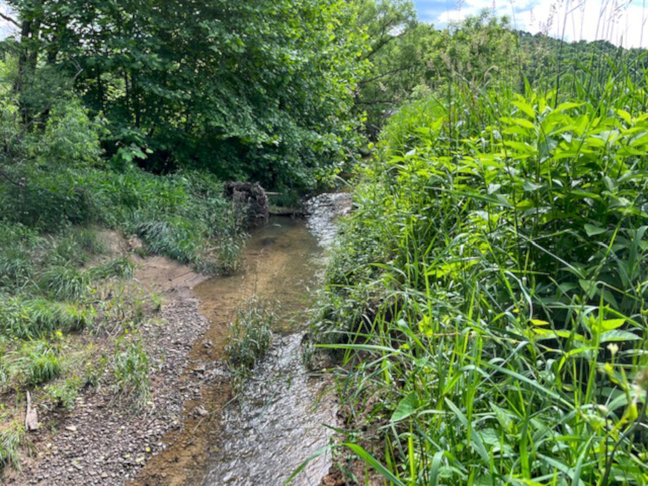 10218 Bremen Road Logan, OH 43138 - Photo 59 of 61 Rolling Stream