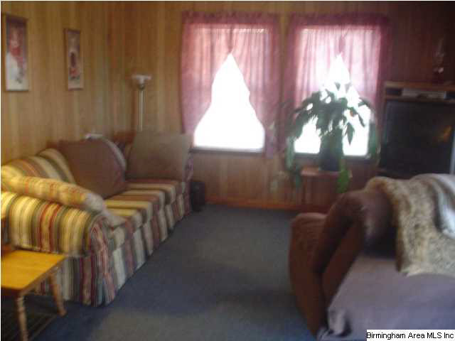 4625 Highway 24 Springville Al Springville, AL 35146 - Photo 8 of 29