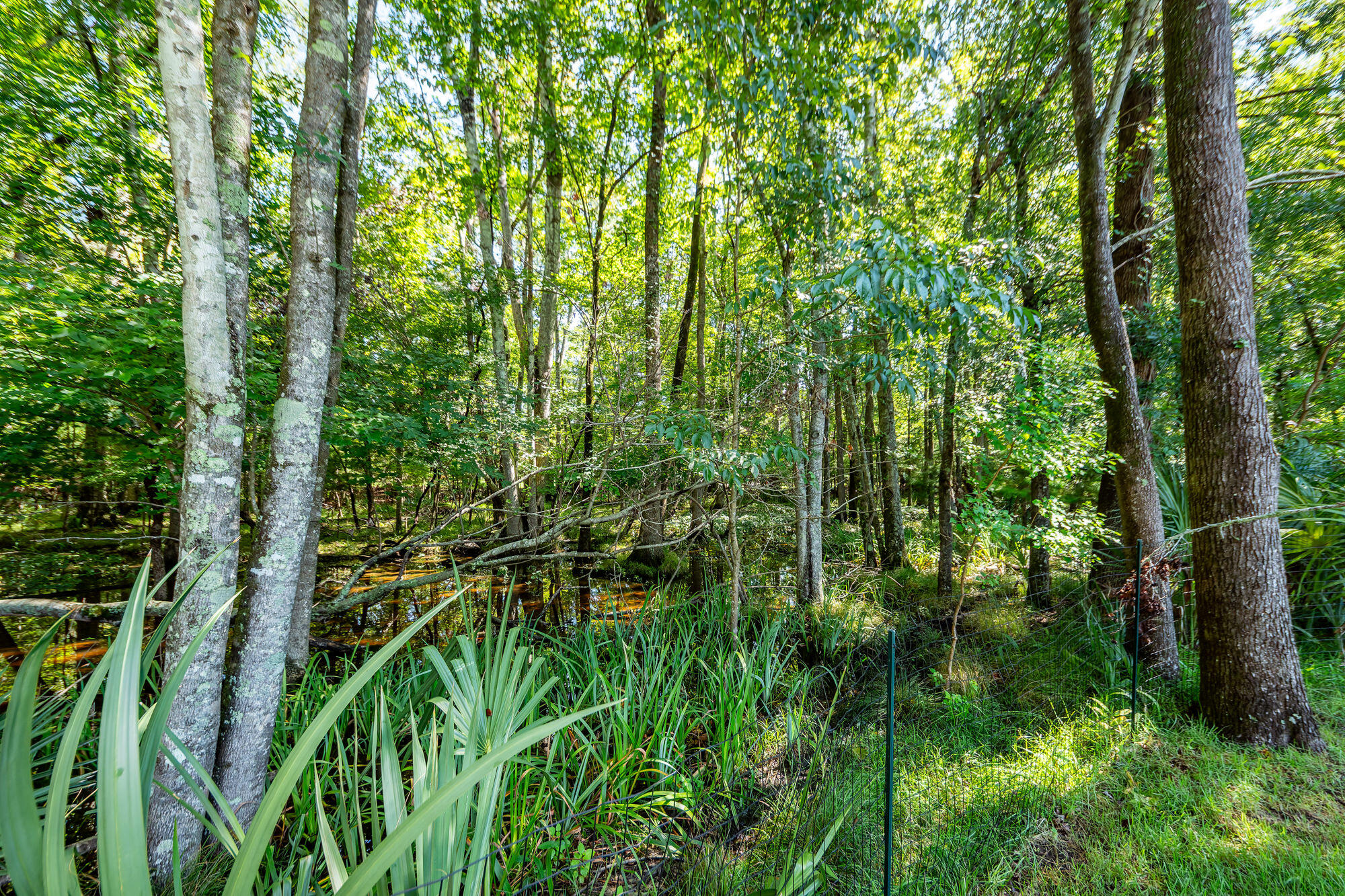 136 Oakbluff Road Summerville, SC 29485 - Photo 70 of 76 58
