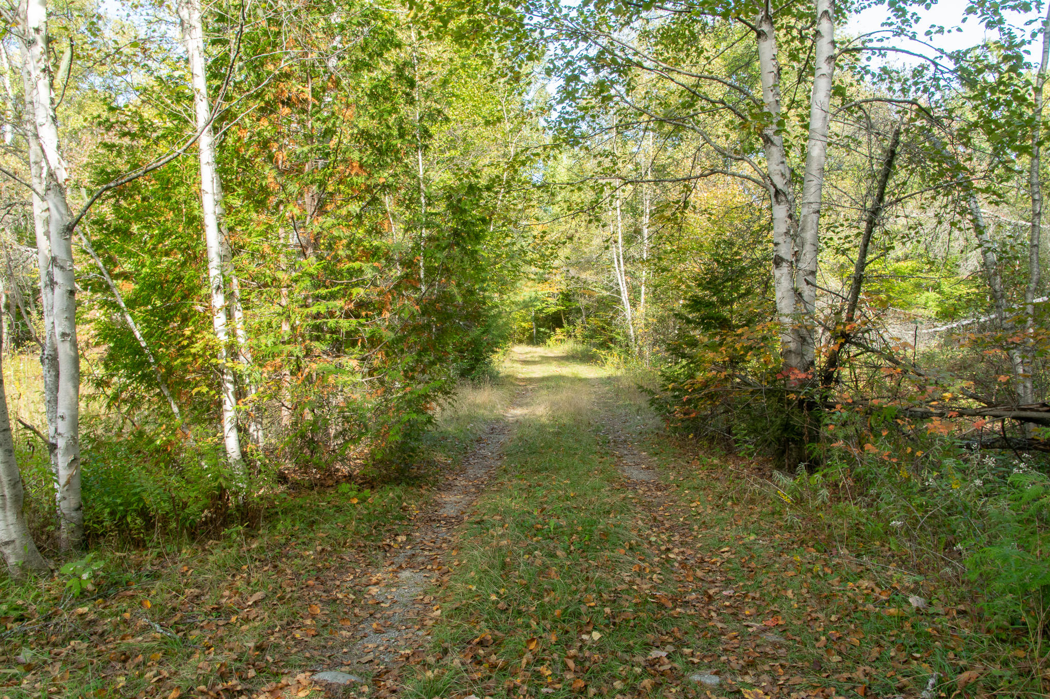 Lot 24-1 Drake Road Springfield, ME 04487 - Photo 2 of 16 DSC_3778