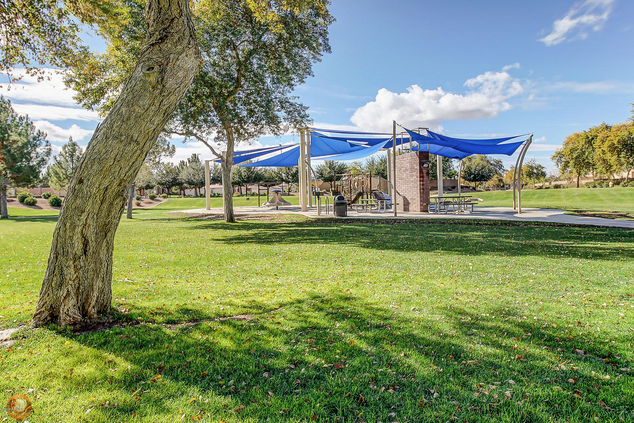 3876 East Baranca Road Gilbert, AZ 85297 - Photo 42 of 43 503-Park_3