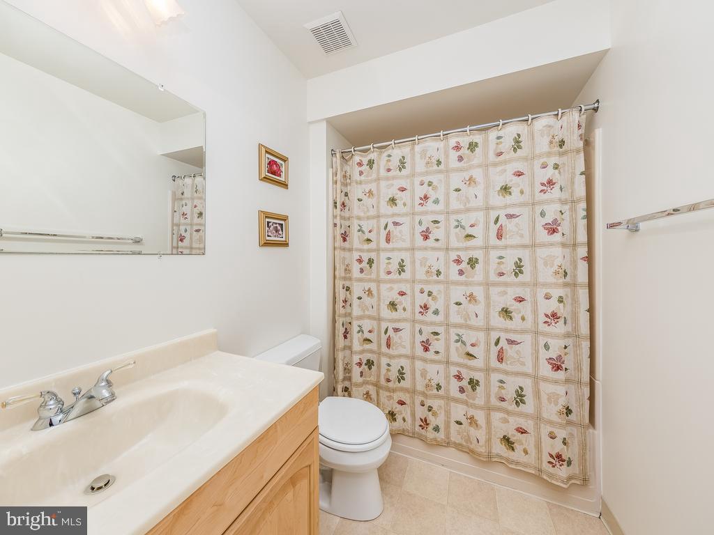 713 Gold Valley Road Locust Grove, VA 22508 - Photo 21 of 45 Lower level full bath with shower tub combo