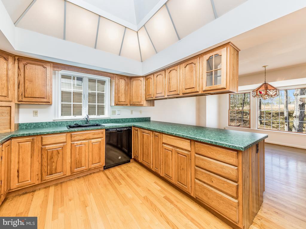 713 Gold Valley Road Locust Grove, VA 22508 - Photo 4 of 45 Cove ceiling and lights w/ skylight in the kitchen