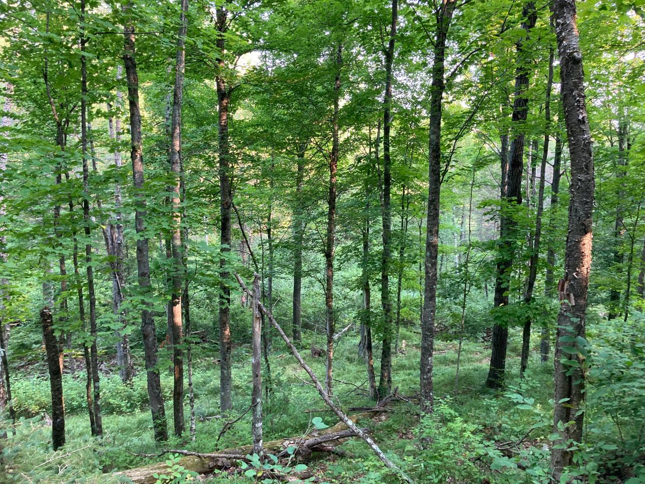 101 Old 101 Road, Unit 40 ACRES Armstrong Creek, WI 54103 - Photo 15 of 18 Gallery Image 15