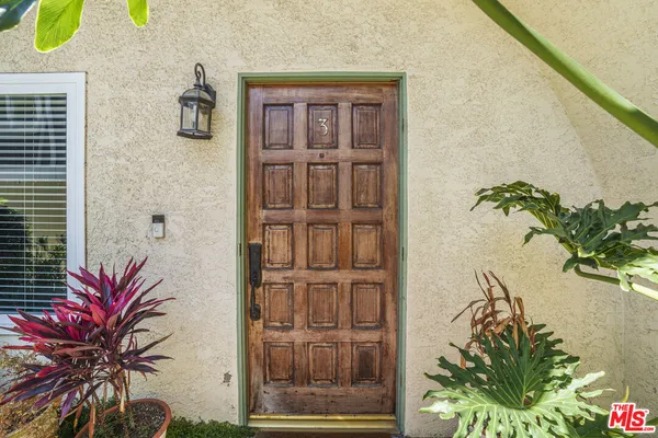 a potted plant sitting in front of a door
