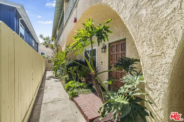a potted plant sitting in front of a door