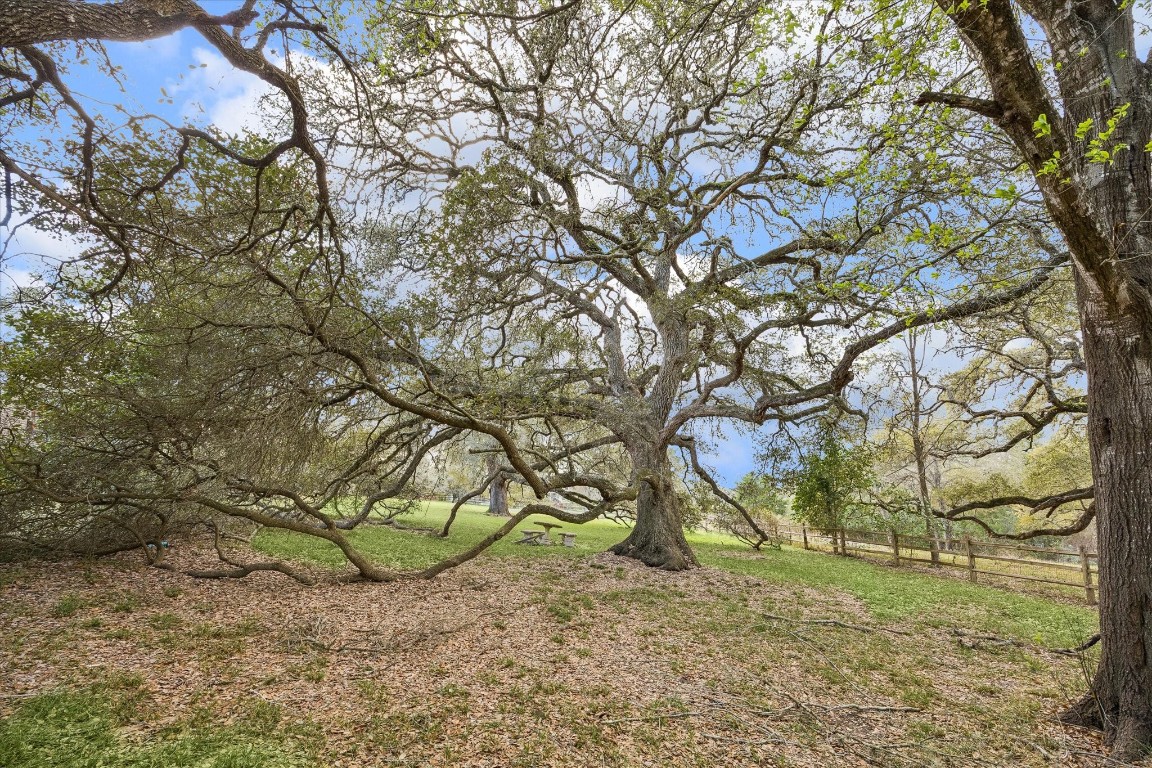 207 Bauer Rummel Round Top, TX 78954 - Photo 23 of 23
