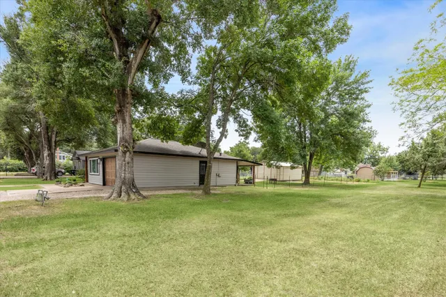 a view of a trees in a yard