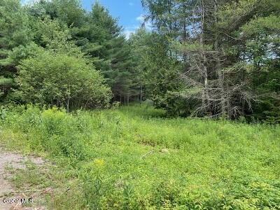 623 Johnson Pond Road North Hudson, NY 12855 - Photo 4 of 10 field2