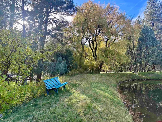 a backyard of a house with lots of green space and fountain