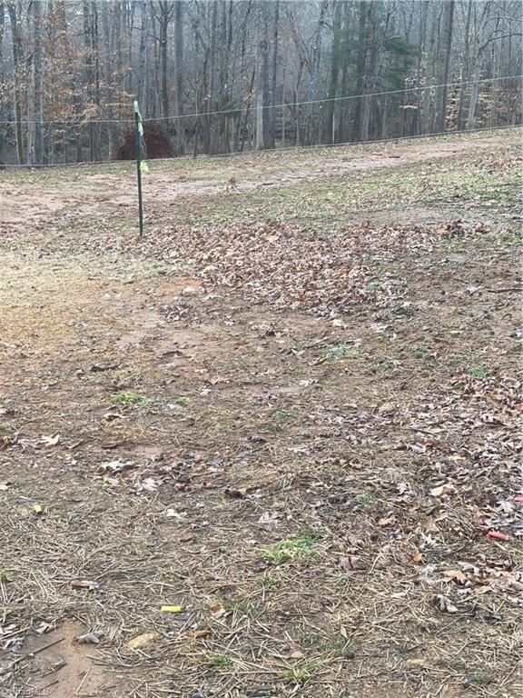 205 Monarch Road Summerfield, NC 27358 - Photo 11 of 13 Gallery Image 11