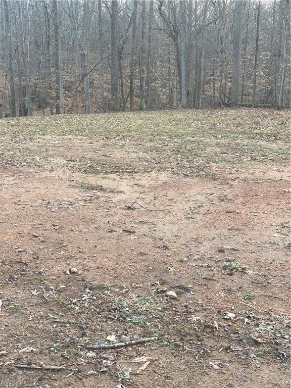 205 Monarch Road Summerfield, NC 27358 - Photo 12 of 13 Gallery Image 12