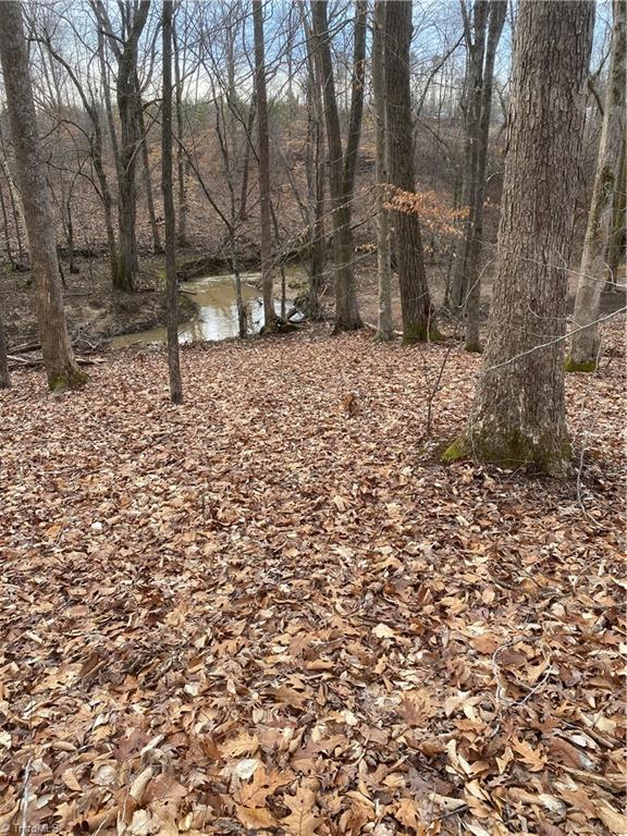 205 Monarch Road Summerfield, NC 27358 - Photo 7 of 13 Gallery Image 7