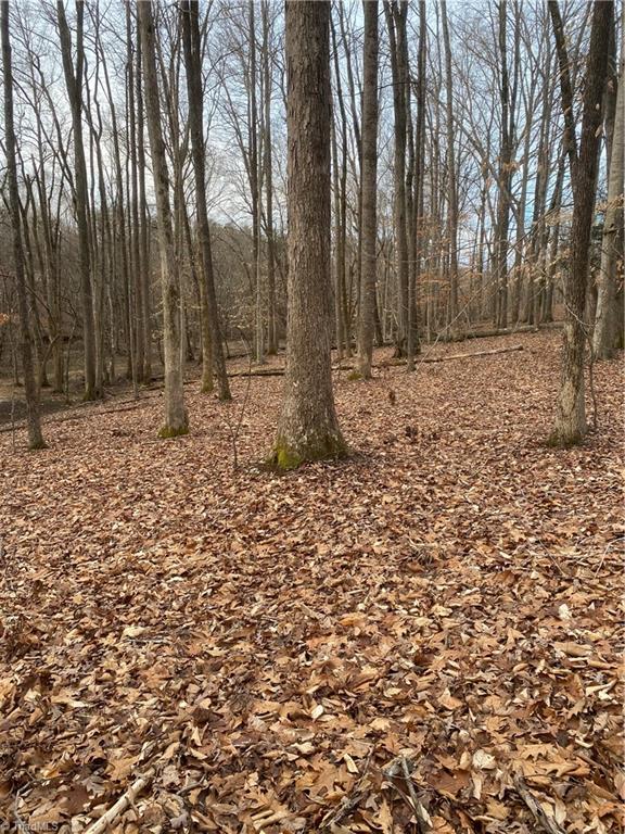 205 Monarch Road Summerfield, NC 27358 - Photo 8 of 13 Gallery Image 8