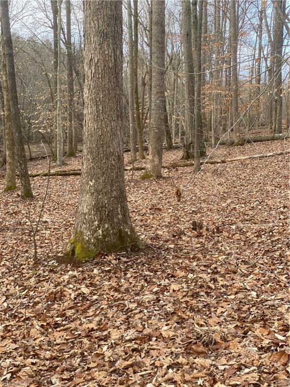 205 Monarch Road Summerfield, NC 27358 - Photo 9 of 13 Gallery Image 9
