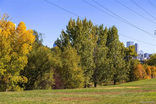 a view of a yard with an outdoor space