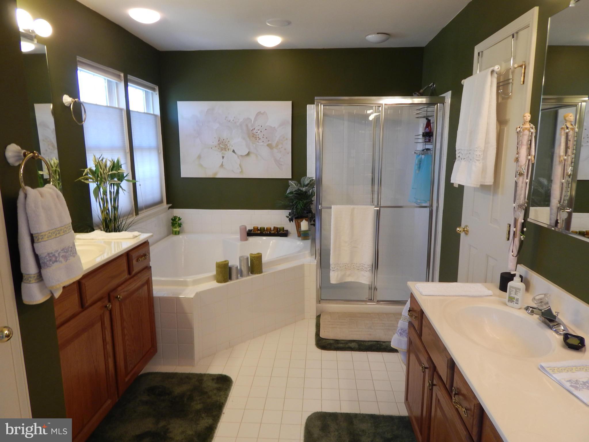 13927 Falconcrest Road Germantown, MD 20874 - Photo 16 of 29 Bath (Master)