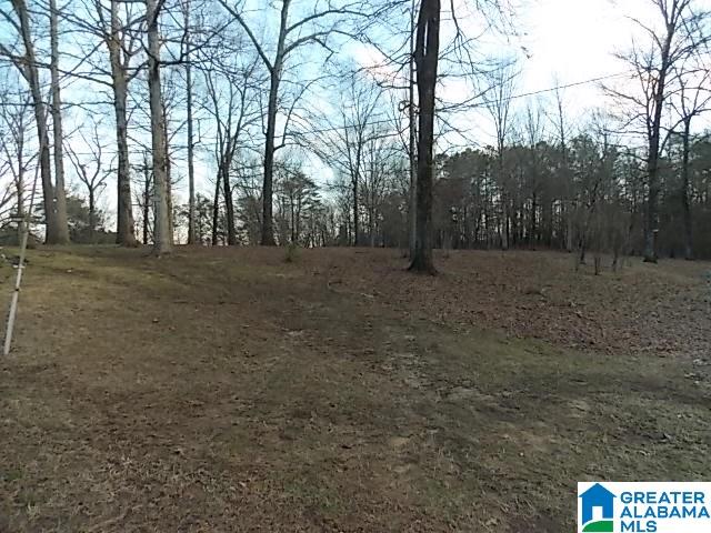 960 Westwood Road Mount Olive, AL 35117 - Photo 7 of 41