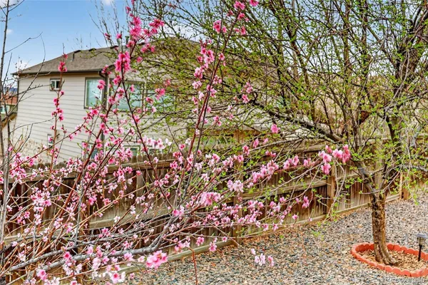 $825,000 | 16049 Brooklime Court, Parker, CO 80134