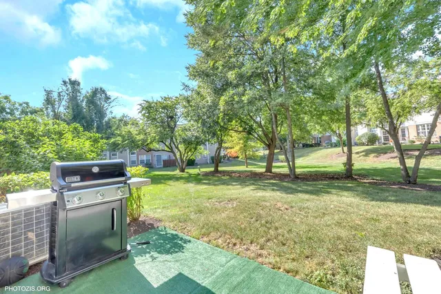 a view of a backyard with trees
