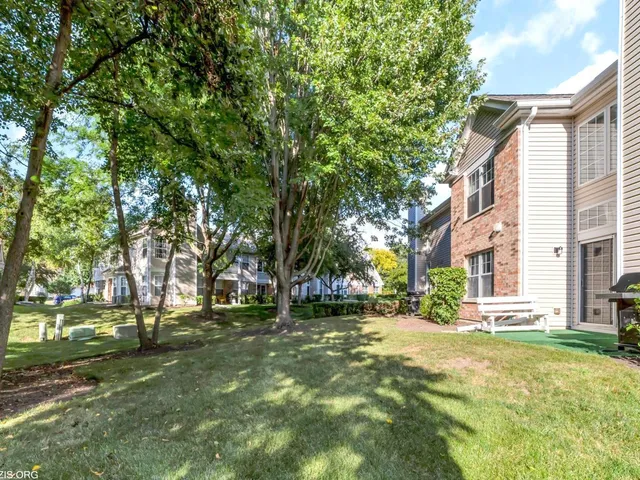 a view of road with large trees