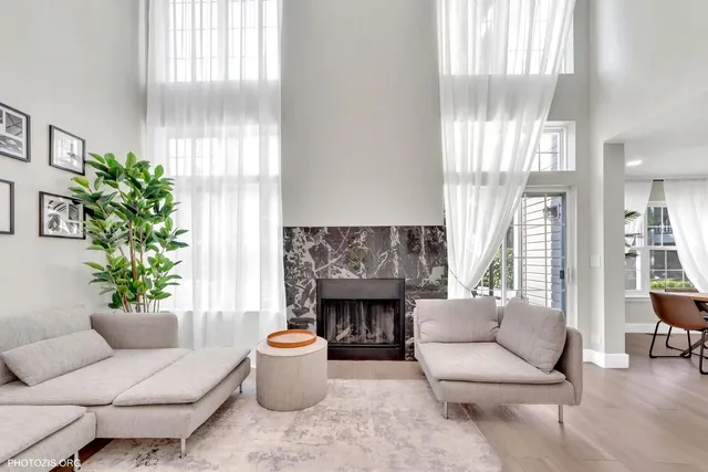 a living room with furniture potted plant and a fireplace