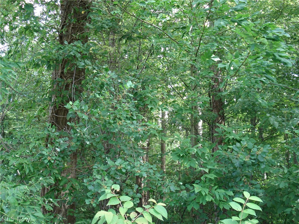 531 Rd Ashtabula Oh 44004 Road Ashtabula, OH 44004 - Photo 2 of 7 Gallery Image 2